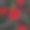 美丽的复古无缝图案与红，黑，白玫瑰。设计贺卡和婚礼、生日、情人节、母亲节等节日的请柬。图片下载