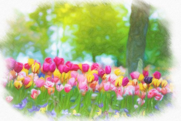 抽象的郁金香艺术背景。图片下载