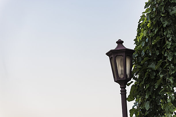 公园里的旧灯图片下载