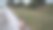 西班牙苔藓下的拳击手狗图片下载
