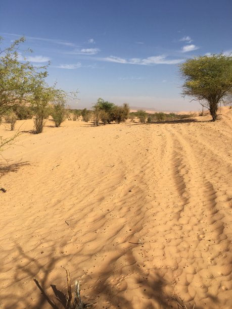 沙漠的路线图片下载