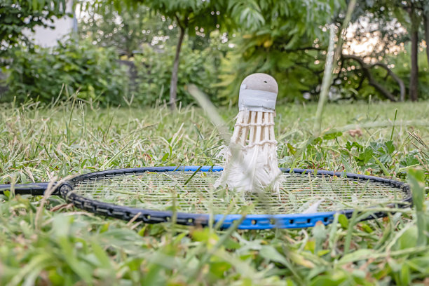 草地上的羽毛球器材图片下载