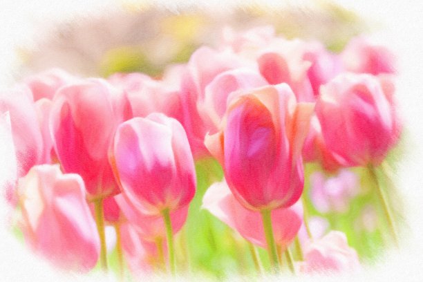 抽象的郁金香艺术背景。图片下载