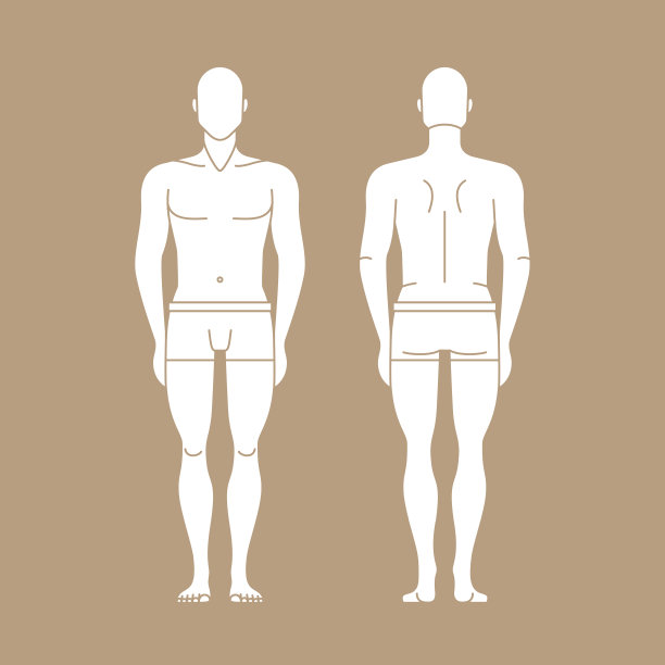 穿着内衣的男人矢量图（可编辑）图片下载