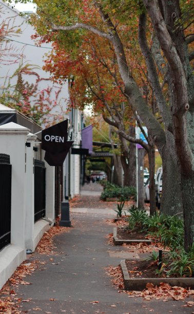 秋天的街景图片下载