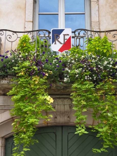 带RF臂饰的花阳台(法兰西共和国，法兰西共和国)图片下载