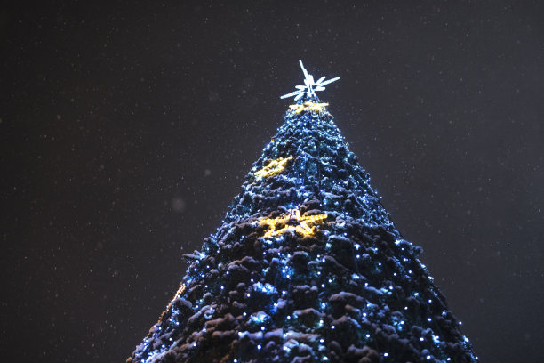 广场上的圣诞树图片下载