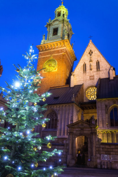 波兰克拉科夫瓦维尔大教堂前的圣诞树图片下载
