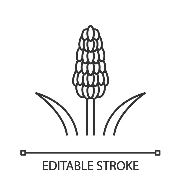 火红的扑克植物线性图标图片下载