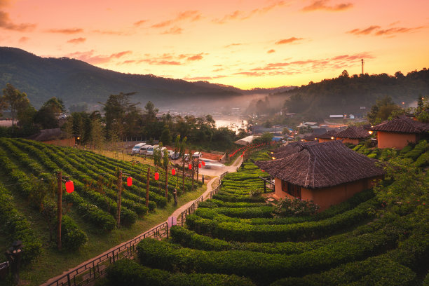 早上在泰国班腊村图片下载