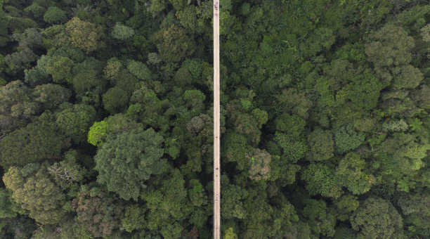 原位古农悬索桥的航拍图片下载