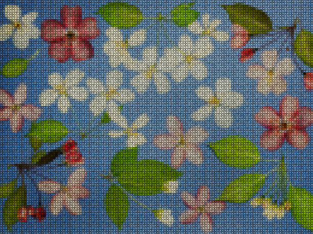 插图。十字绣花束。野花。苹果的花。花的背景,拼贴。花纹理。十字绣的乡村风格。图片下载