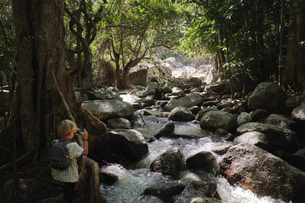 一个小男孩拍了一张丛林瀑布的照片。图片下载