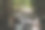 一个小男孩拍了一张丛林瀑布的照片。图片下载