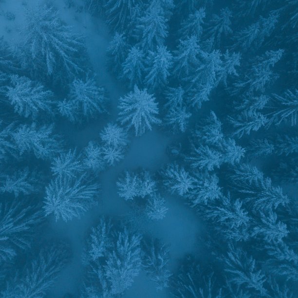 顶部鸟瞰图的夏季山景观与树木。美国俄勒冈州。最受欢迎的场景图片下载