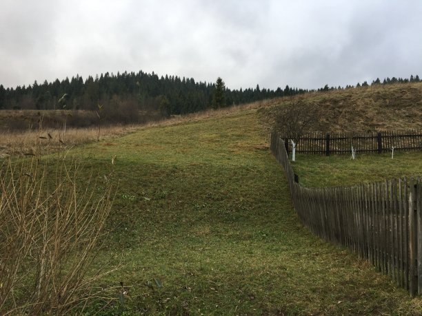 国家的房子图片下载