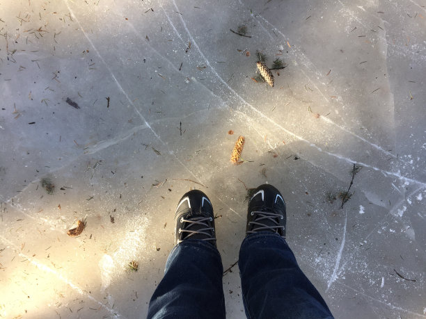 003年加拿大溜冰鞋图片下载