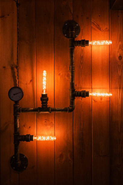 漂亮的复古爱迪生灯图片下载