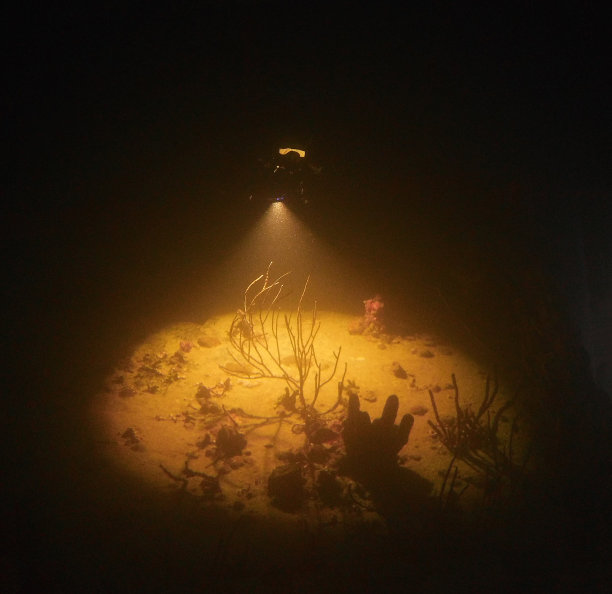 晚上潜水聚光灯图片下载