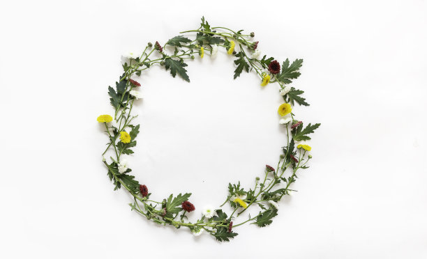 美丽的彩色花的圆形框架。白纸背景上的鲜花和叶子圈，俯视图，复制空间，平铺复古风格横幅图片下载