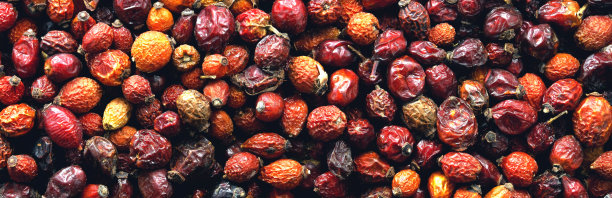 干玫瑰果背景。玫瑰花朵。全景。图片下载