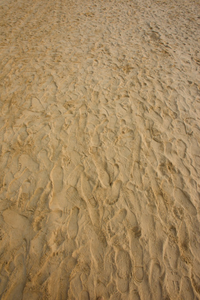 沙滩上有很多脚印图片下载