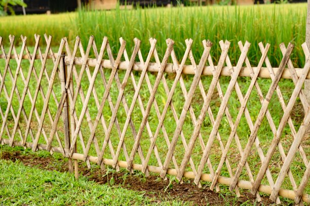 园林竹栅栏图片下载