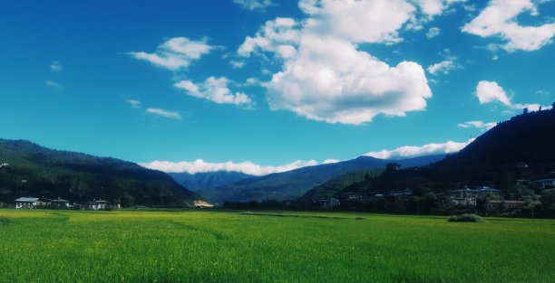 美丽的图片下载