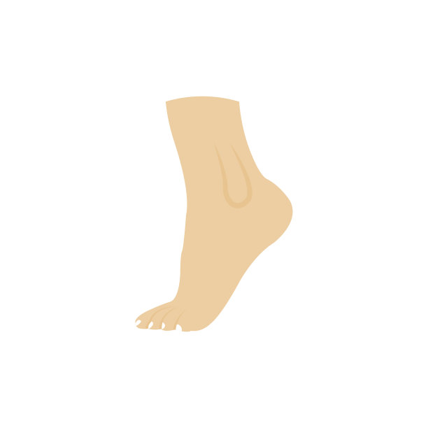 脚向量平面图标图片下载