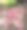 切碎的红洋葱图片下载
