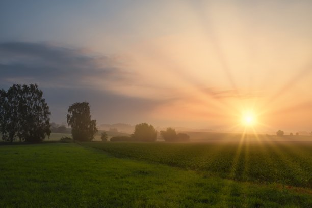 雾蒙蒙的夏日早晨图片下载