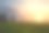 雾蒙蒙的夏日早晨图片下载