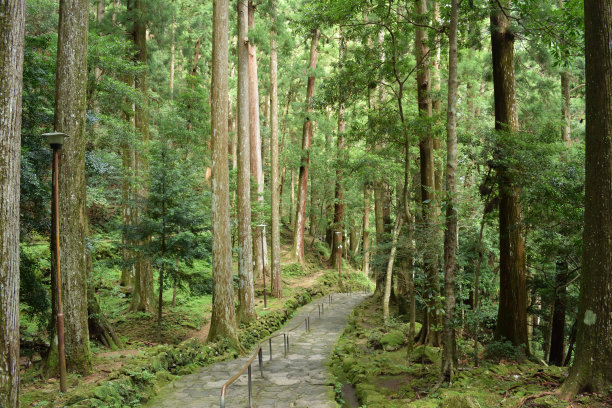 熊野古代道德图片下载