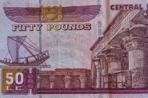 埃及五十镑纸币特写图片下载