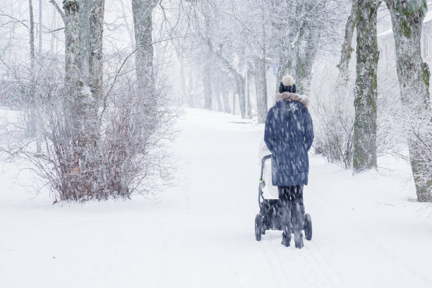 年轻的母亲推着婴儿车。一个女人在暴风雪中走在公园里。白色阴天的冬天。后视图。图片下载