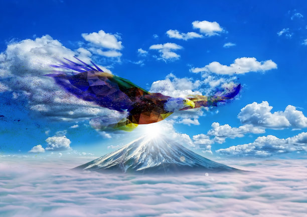 抽象的鸟图片下载