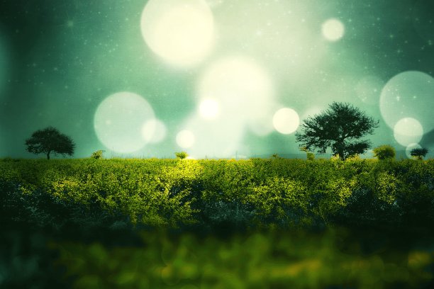 美丽的自然景观图片下载