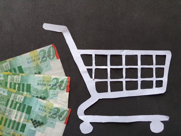 白纸上的购物车和以色列货币形象图片下载