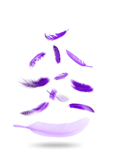 飞翔的羽毛颜色。孤立在白色背景上。图片下载