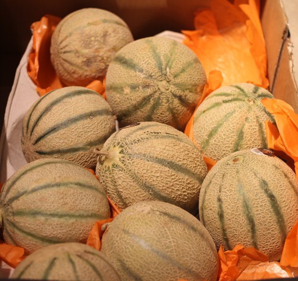 蜜瓜特写，瑞士日内瓦图片下载