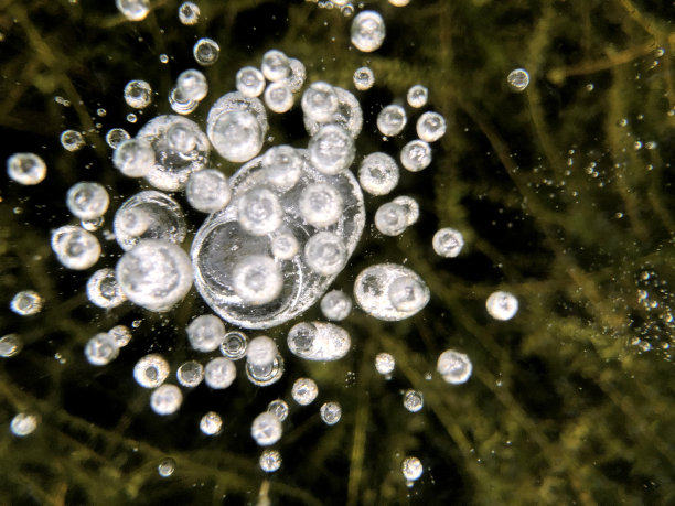 冰冻的湖水与气泡的形式，抽象的花朵，玫瑰和其他图案的冰。背景是绿藻和暗色的底部。画在冰上形成霜。设计图片下载