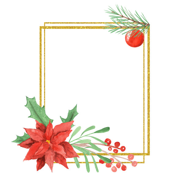 水彩冬季节日卡片与红色的一品红，绿色的冷杉树枝和金色的框架在白色的背景与文字的圣诞邀请。图片下载
