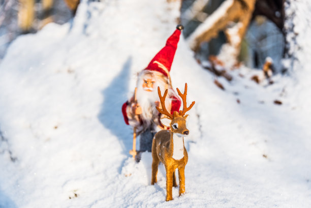 圣诞老人带着滑雪板和鹿娃娃过圣诞节图片下载