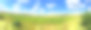 夏日玉米田全景图，明亮多云的天空图片下载