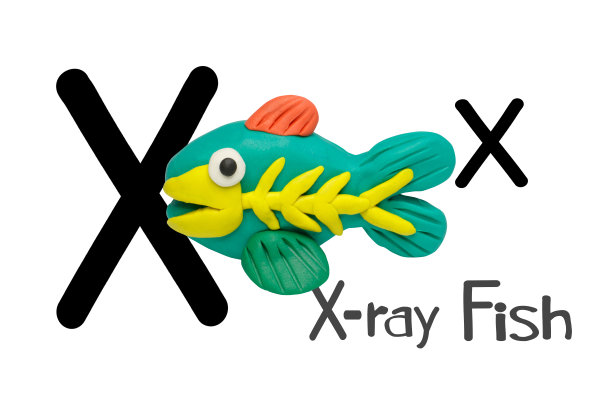 卡通人物，X光鱼孤立在白色背景。比如3D渲染，插图。图片下载