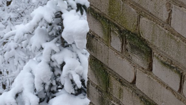 白砖砌成的老砖墙上长满了青苔，背景是雪躺在树枝上。图片下载