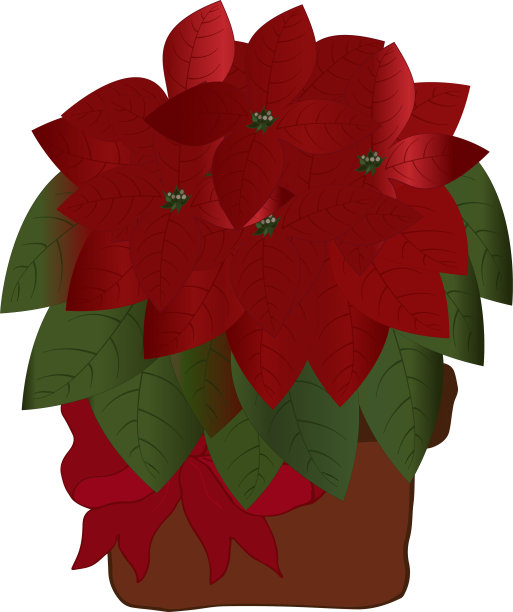 带红色蝴蝶结的盆栽一品红（圣诞星）矢量图，适用于圣诞室内设计图片下载