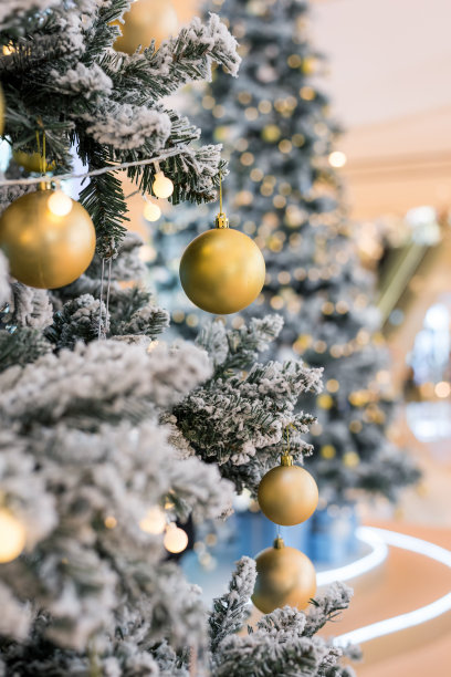 用圣诞球和彩灯装饰的圣诞树图片下载