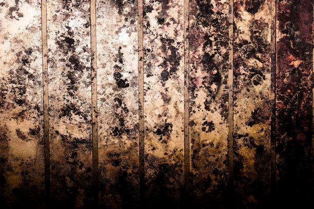 墙上有霉菌和真菌的黑点。图片下载
