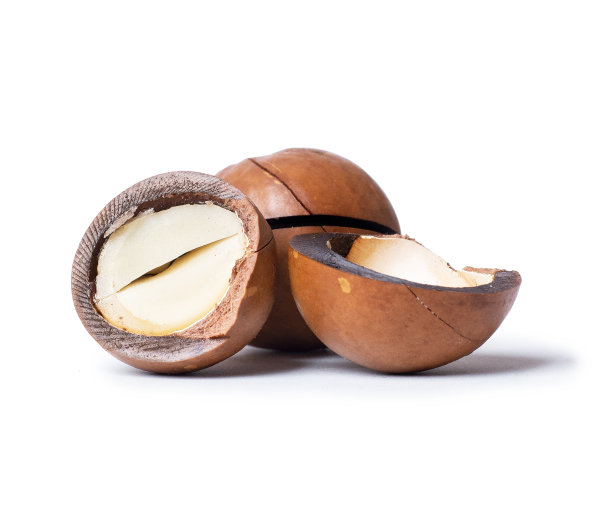 白色背景上的三个澳洲坚果特写图片下载